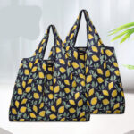 2 grocery shopping bags