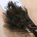 Simulation animal crafts